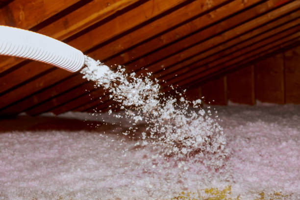 Best Best Insulation Companies  in Severna Park, MD