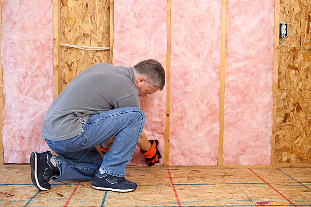 Best Insulation for New Construction  in Severna Park, MD